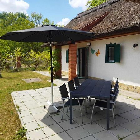 Vila Boroka Tanya Orgovany Exteriér fotografie