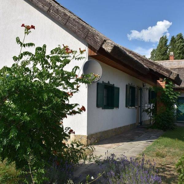 Vila Boroka Tanya Orgovany Exteriér fotografie