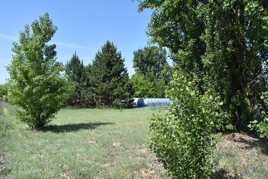 Vila Boroka Tanya Orgovany Exteriér fotografie